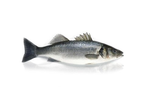 Branzino 600/800 grecia