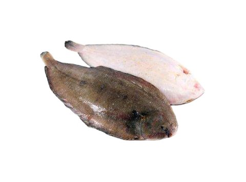 Sogliola grossa 5 pz/kg italia
