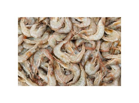 Gamberetto (salterello)