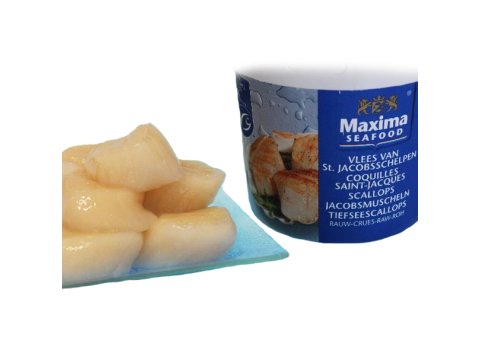 Cappasanta oceanica polpa america