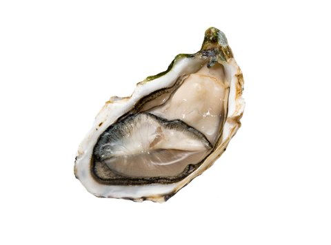 Ostrica special tsarskaya francia