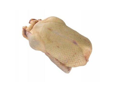 Anatra femmina con testa e zampe