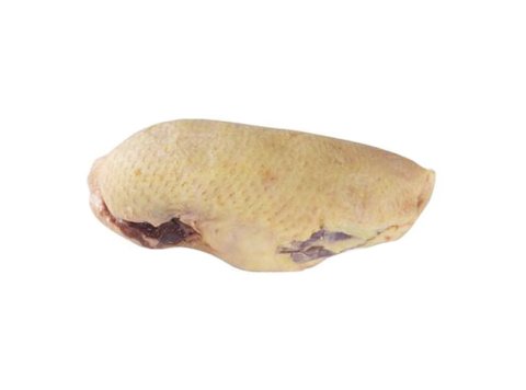 Petto d'anatra maschio