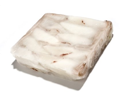 Calamaro pacifico u/10 millenium