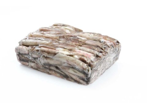 Calamaro patagonico c 4ll/ sporco blk