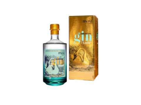Gin 7 laghi 45%
