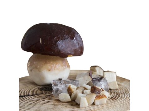 Funghi porcini a cubetti