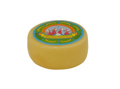 Pecorino ballu tondu