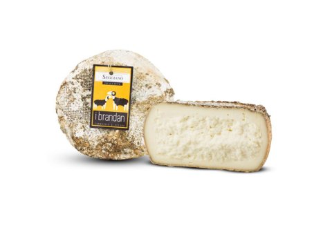 Pecorino farro e birra