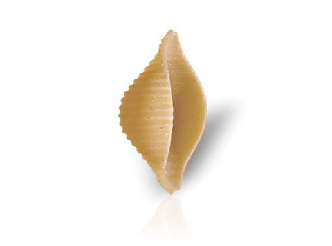 Conchiglie rigate 3 kg de cecco