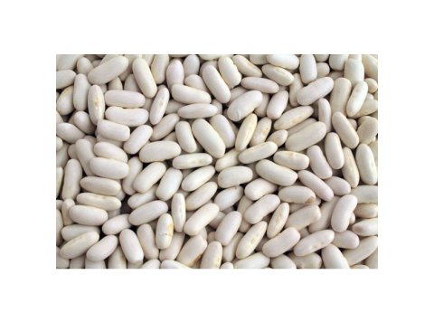 Fagioli cannellini