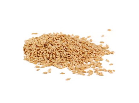 Farro decorticato perlato