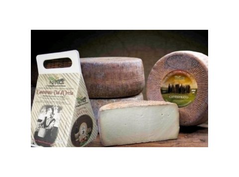 Pecorino canestrato di pienza