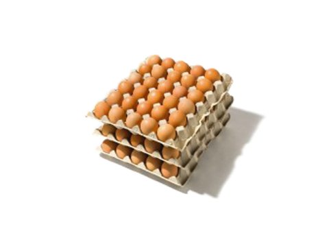 Uova medie pasta chiara