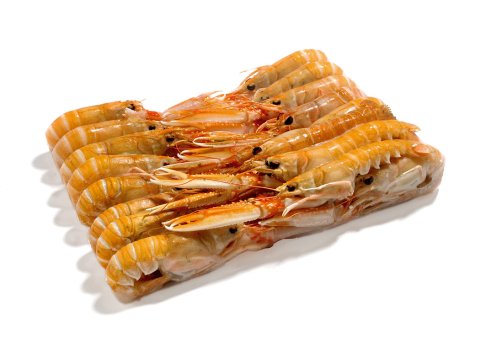 Scampo 10/15pz/kg porcupine irl