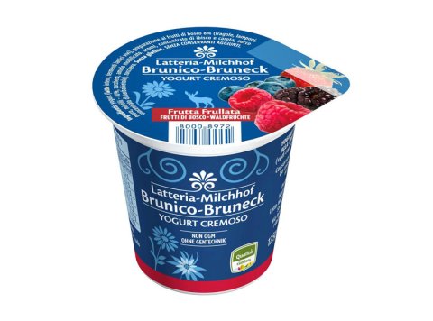 Yogurt intero frutti di bosco 125 gr