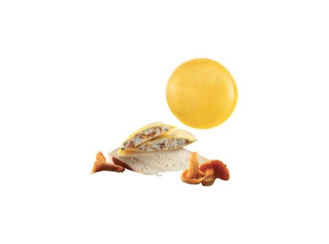 Panciotti con finferli e 'fontina DOP'