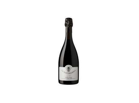 Vino lambrusco grasparossa castelv. DOC