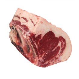 Tronchetto s/copertina croazia
