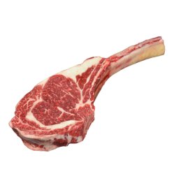 Tomahawk galles scottona