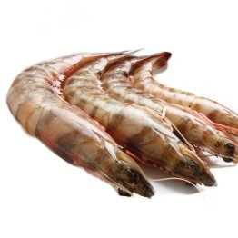 Mazzancolla 50/60 pz/kg ecuador