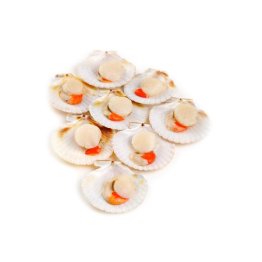 Cappasanta m/g 20/30pz/kg