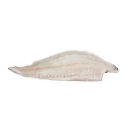 Rombo chiodato filetto dyp