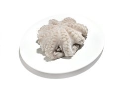 Polpo t6 800/1300 gr premium