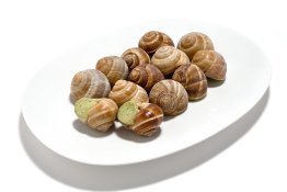 Lumaca alla borgogna 50pz/cf