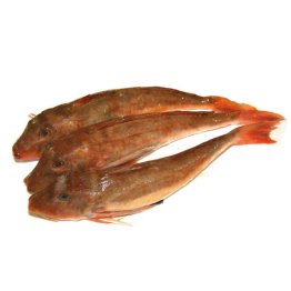 Gallinella 250/500gr olanda