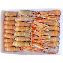 Scampo 41/50pz/kg c/bordo irl