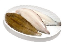 Sogliola dover n 4 nl