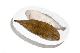 Sogliola dover n 5 nl