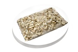 Vongola pacifico s/g piastra precotta