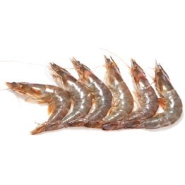Mazzancolla 20/30 pz/kg ecuador