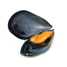 Cozze c/g spagna