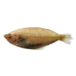 Zanchette