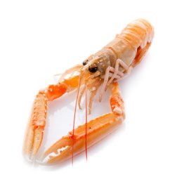 Scampi interi 20/30 pz/kg