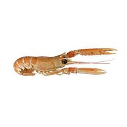 Scampi interi 30/40 pz/kg