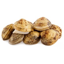 Tartufi di mare
