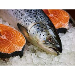Salmone 2/3 norvegia