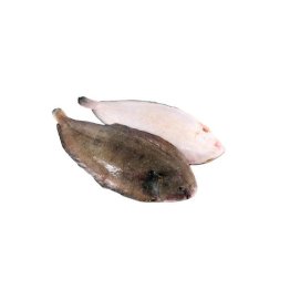 Sogliole medie 10 pz/kg