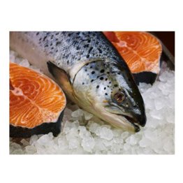 Salmone 5/6 norvegia