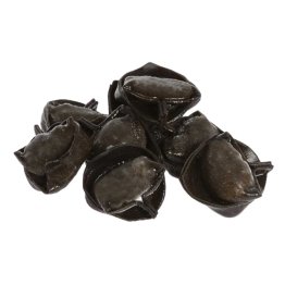 Tortelli neri al branzino checco pastaio