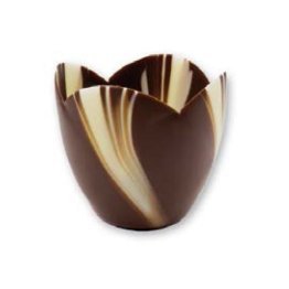Tulipani choc venere