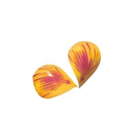 Petali gialli choc