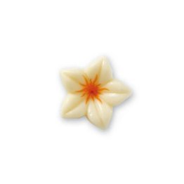 Narcisi choc bianchi/rossi arancio