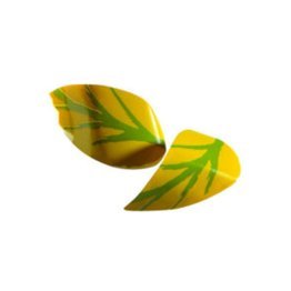 Foglie primavera choc