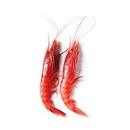 Gambero rosso sicilia iv 30/45pz/kg