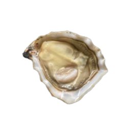 Ostriche concave special marie morganes